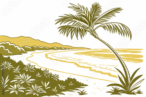 palm trees on the beach