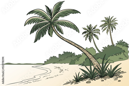 palm tree on the beach