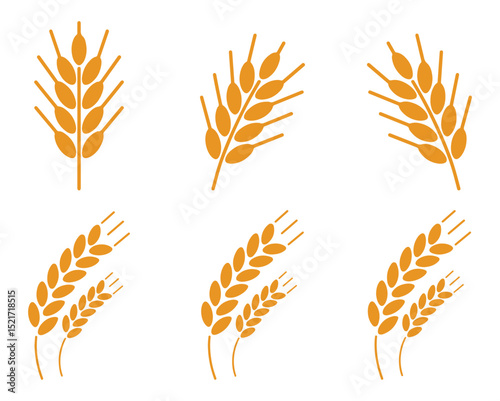 Simple vector illustrations of golden wheat ears on white background