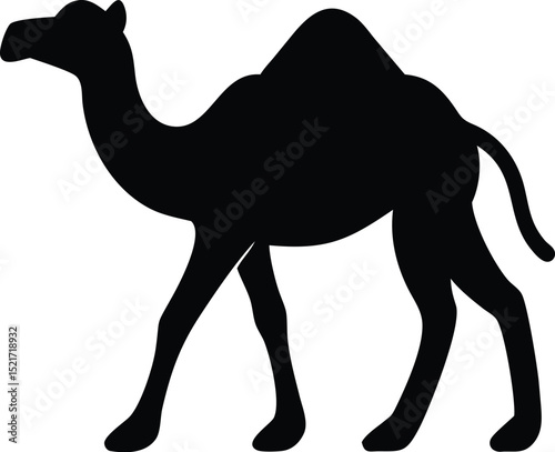 camel vector illustration