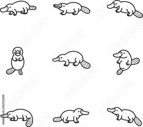A collection of cute and simple black and white platypus illustrations in various poses on white background