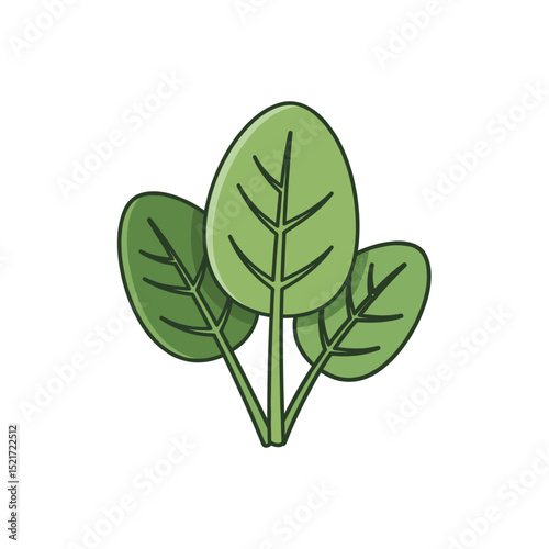 Fresh Green Spinach Leaves Icon, Healthy Leafy Vegetable
