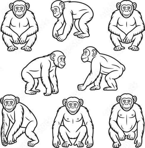 Illustration featuring a collection of various chimpanzee poses captured with clean black outline vector art style.