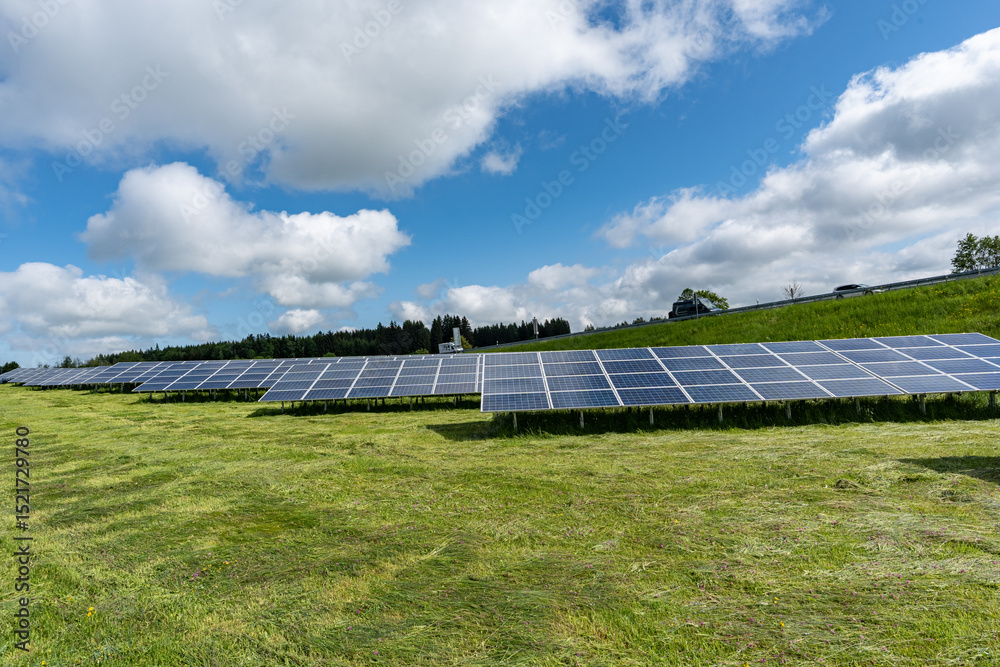 Fototapeta premium Großflächig aufgestellte Photovoltaik-Module in grüner Wiesenlandschaft bei strahlendem Sonnenschein.
