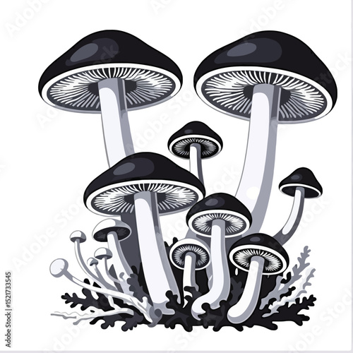 Mushroom Illustration - Black and White Mushroom Drawing - Fungi Art Print - Unique Mushroom Design - Mushroom Foraging Illustration - Nature Inspired Decor