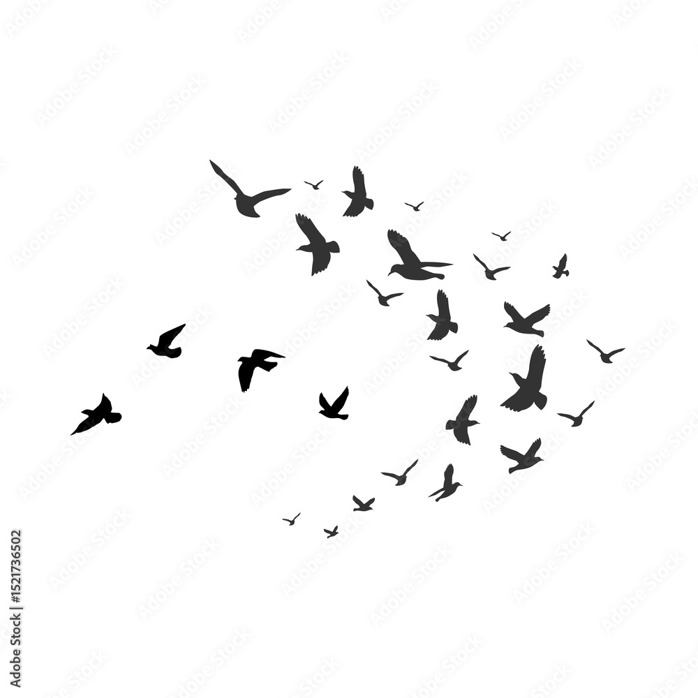 Birds flying in the sky evoke a sense of freedom, grace, and the wonder of nature in motion.
Birds flying in the sky evoke a sense of freedom, grace, and the wonder of nature in motion.