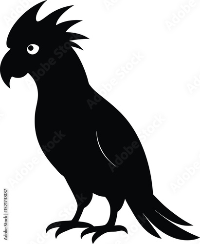 cockatoo black silhouette on white background