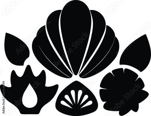 seashell collection black silhouette on white background