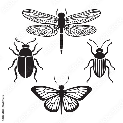 Set of isolated dragonfly insect vector illustration on white background