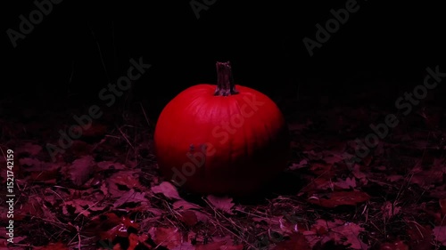Halloween creepy pumpkin in red light in dark .Autumn holidays ominous atmosphere. 4k footage