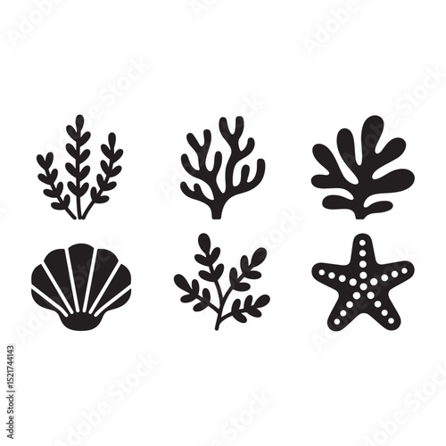 Diverse Marine Life and Underwater Elements