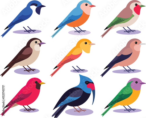 Colorful Cartoon Birds Illustration: A Collection of Different Species in a Flat Style.