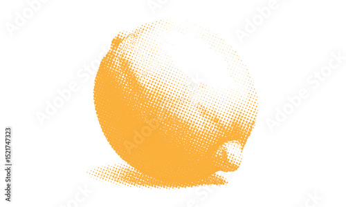 Contemporary Lemon Collage Element