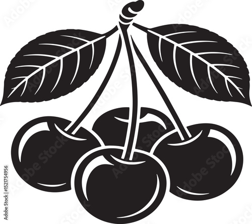 vector illustration of cherries