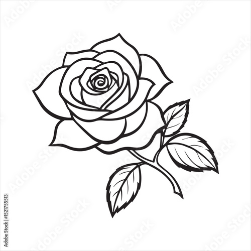 Wallpaper Mural rose floral ornament line art Torontodigital.ca
