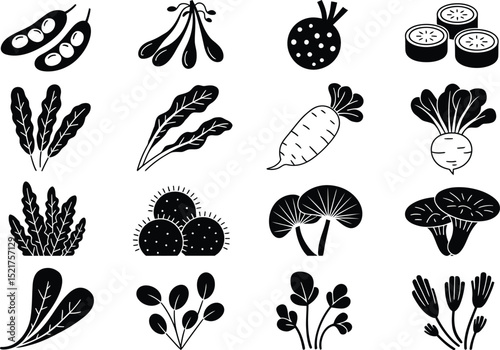 Black and White Vegetable and Plant Icon Set Illustration for Healthy Food Concepts.