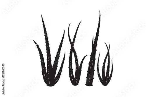 Aloe Vera Plant Silhouettes