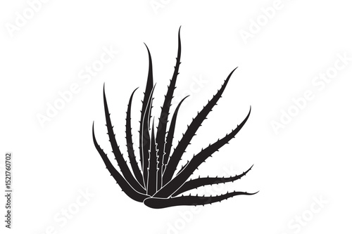 Aloe Vera Plant Vector Silhouette