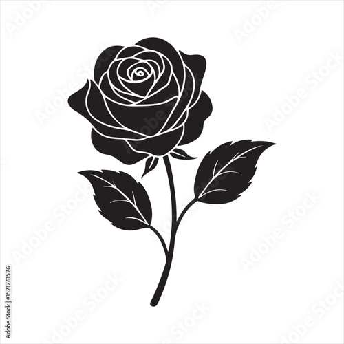 rose floral ornament line art