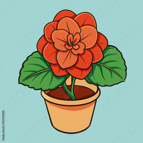 orange flower in pot