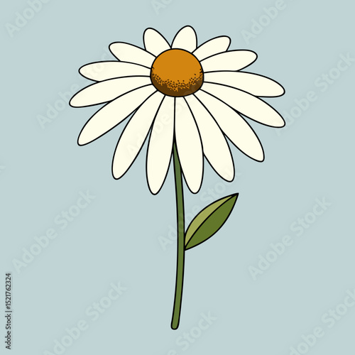 daisy flower with ladybug