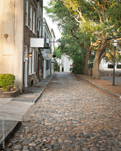 Quadro em tela Cobblestone city street in Charleston, SC in late afternoon
