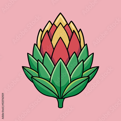 pink lotus flower