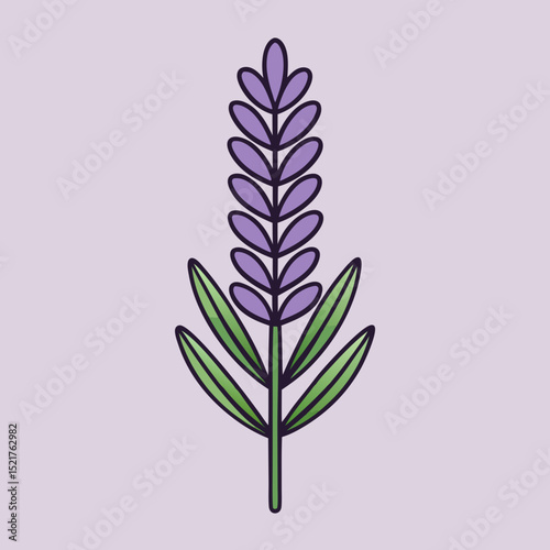 lilac branch isolated on white background