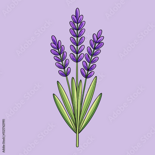 bouquet of lilac