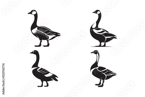 Goose Bird Silhouettes Collection Design