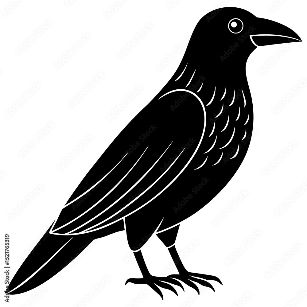 Fototapeta premium crow on a white background