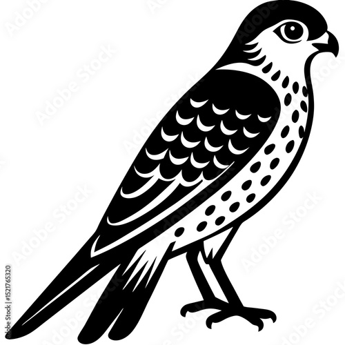 bird of prey