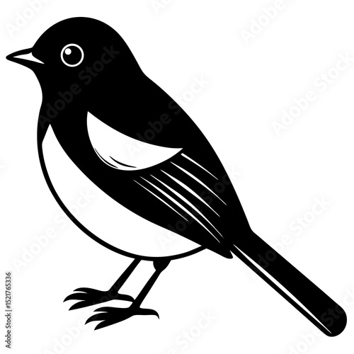 bird on a branch
