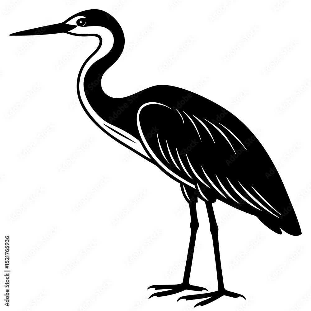 Obraz premium great blue heron