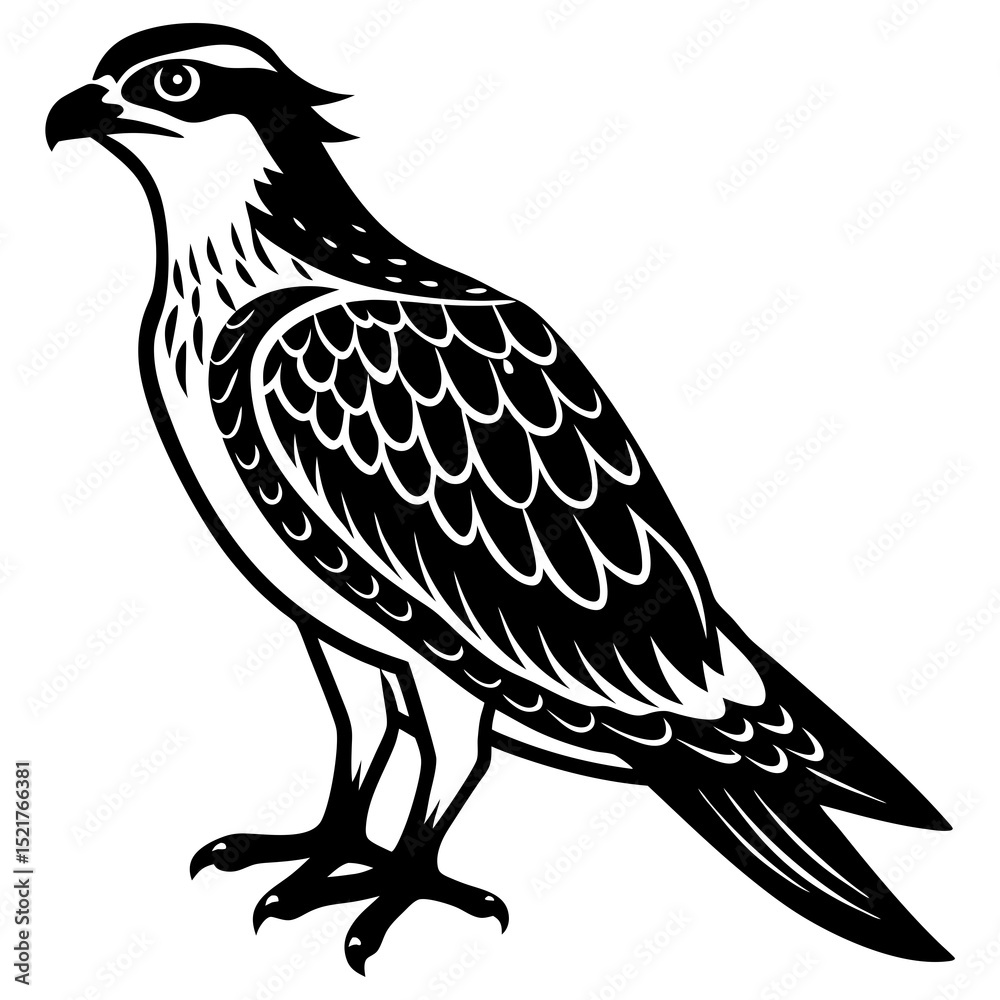Fototapeta premium eagle vector illustration