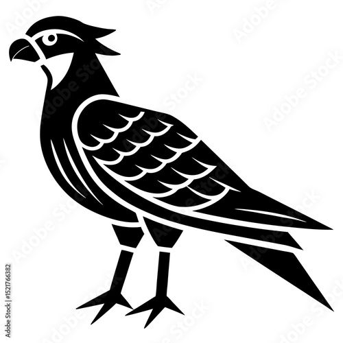 vector illustration of a bird