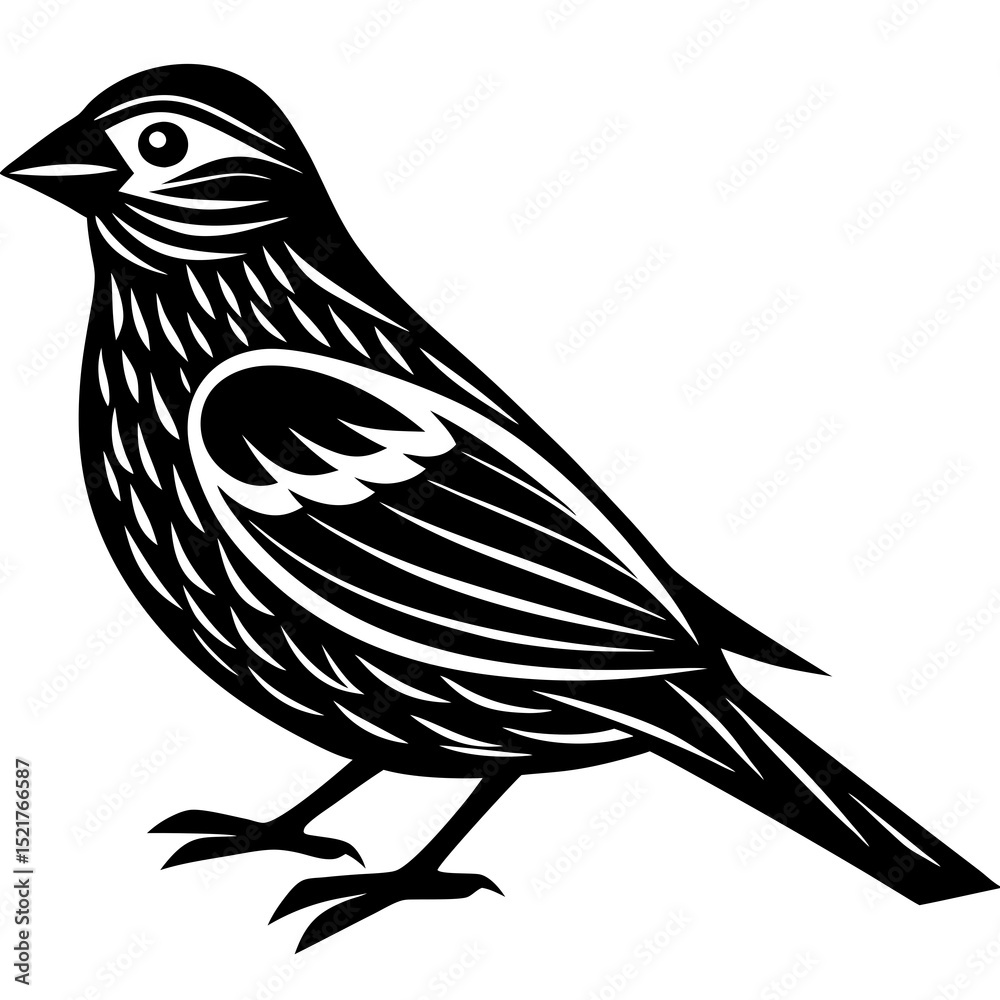 Fototapeta premium sketch of a bird