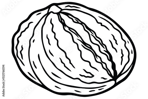 Black and white vector illustration of a whole walnut with visible ridges