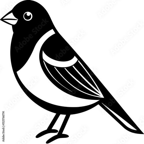bird on a branch