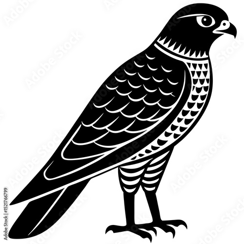 bird of prey