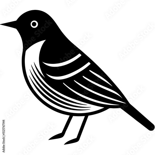 bird on a branch