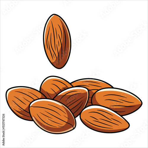 Vector almonds isolated on white. Ideal for nutrition, baking, and organic food branding.