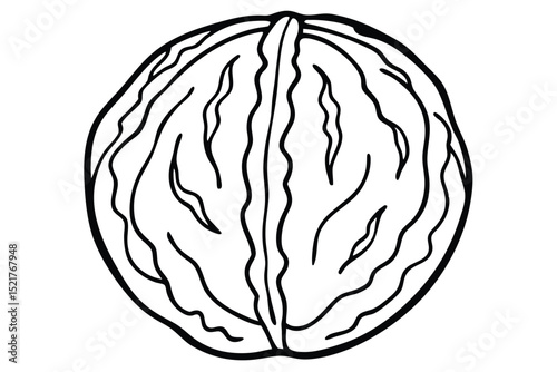 Simple Black and White Line Drawing of a Whole Walnut with Shell Detailing