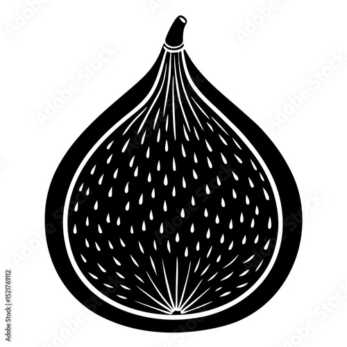 vector illustration of an onion