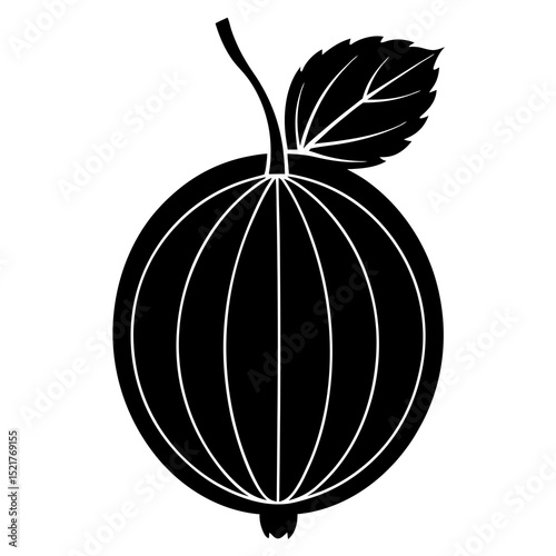 hot air balloon