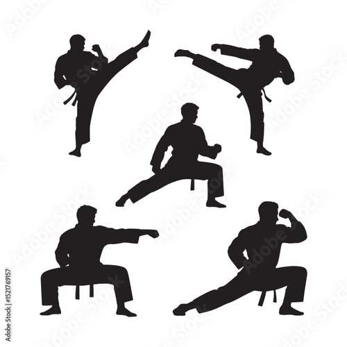  Powerful Martial Arts Combat Silhouettes: Kicks, Punches, and Stances