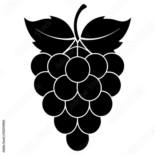grapes vector illustration