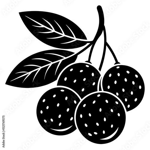 black and white berries