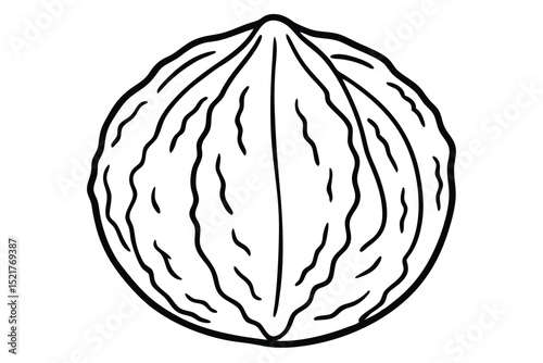 Simple Black and White Walnut Outline Illustration, Single Nut Drawing, Healthy Food