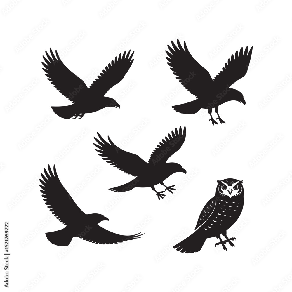 Obraz premium Majestic Birds of Prey in Flight: Dynamic Eagle and Hawk Silhouettes